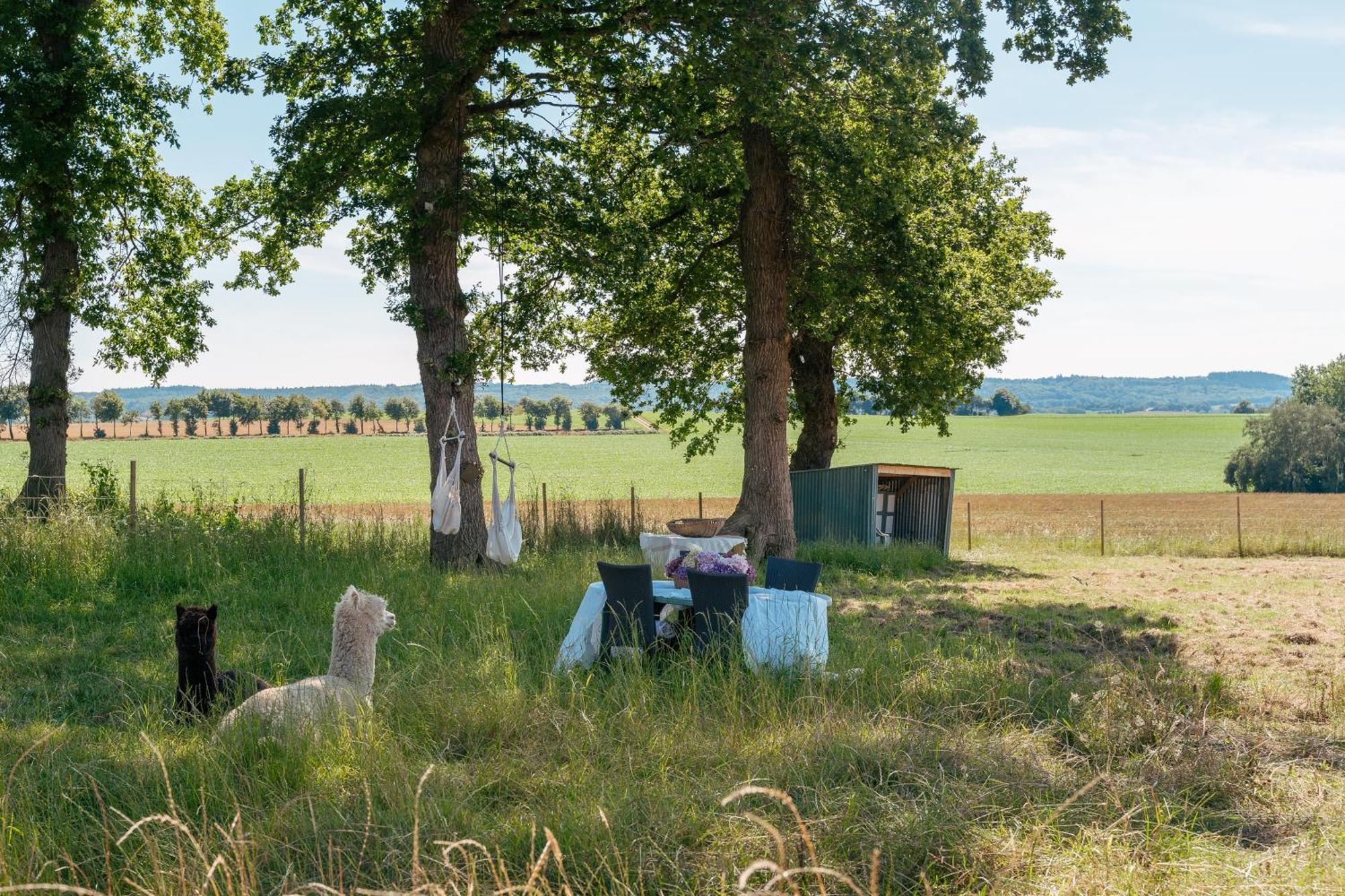 Demeures & Chateaux Le Clos Luly Neulliac Eksteriør billede